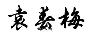 胡問遂袁春梅行書個性簽名怎么寫