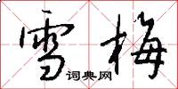 雪梅怎么寫好看
