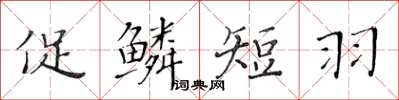 黃華生促鱗短羽楷書怎么寫