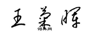 梁錦英王菊暉草書個性簽名怎么寫