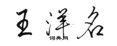 駱恆光王洋名行書個性簽名怎么寫