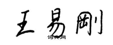 王正良王易剛行書個性簽名怎么寫