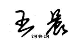 朱錫榮王晨草書個性簽名怎么寫