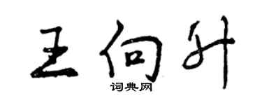 曾慶福王向升行書個性簽名怎么寫