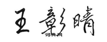 駱恆光王彰晴行書個性簽名怎么寫