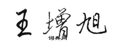 駱恆光王增旭行書個性簽名怎么寫