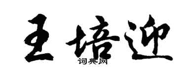 胡問遂王培迎行書個性簽名怎么寫