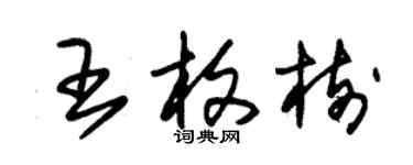 朱錫榮王枚樹草書個性簽名怎么寫