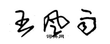 朱錫榮王風雨草書個性簽名怎么寫