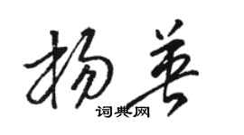 駱恆光楊英草書個性簽名怎么寫