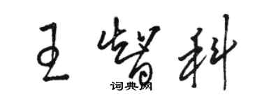 駱恆光王智科草書個性簽名怎么寫