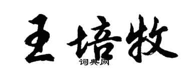 胡問遂王培牧行書個性簽名怎么寫