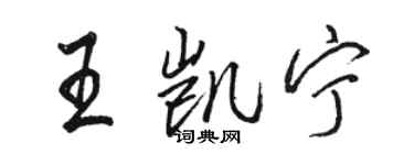 駱恆光王凱寧行書個性簽名怎么寫