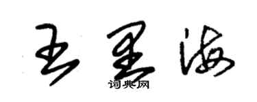 朱錫榮王裏海草書個性簽名怎么寫