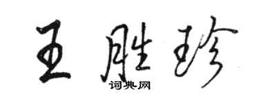 駱恆光王勝珍行書個性簽名怎么寫