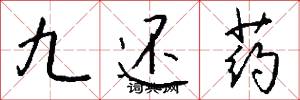 九還藥怎么寫好看