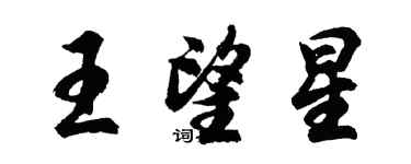 胡問遂王望星行書個性簽名怎么寫