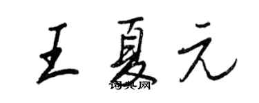 王正良王夏元行書個性簽名怎么寫