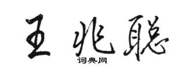 駱恆光王兆聰行書個性簽名怎么寫