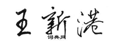 駱恆光王新港行書個性簽名怎么寫