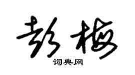 朱錫榮彭梅草書個性簽名怎么寫