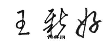 駱恆光王新好草書個性簽名怎么寫