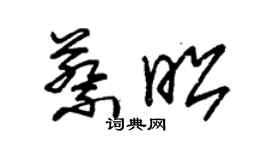 朱錫榮蔡昭草書個性簽名怎么寫