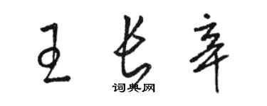 駱恆光王長辛草書個性簽名怎么寫