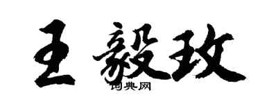 胡問遂王毅玫行書個性簽名怎么寫