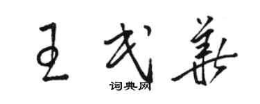 駱恆光王民華草書個性簽名怎么寫