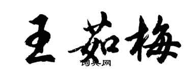 胡問遂王茹梅行書個性簽名怎么寫