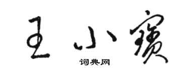 駱恆光王小寶草書個性簽名怎么寫