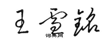 駱恆光王雪銘草書個性簽名怎么寫