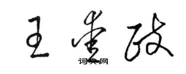 駱恆光王愛政草書個性簽名怎么寫