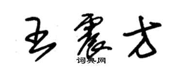 朱錫榮王震方草書個性簽名怎么寫