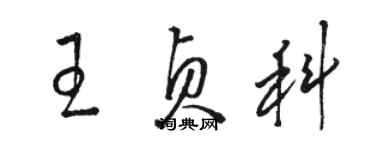 駱恆光王貞科草書個性簽名怎么寫