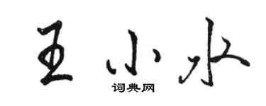 駱恆光王小水行書個性簽名怎么寫