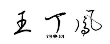 梁錦英王丁鳳草書個性簽名怎么寫