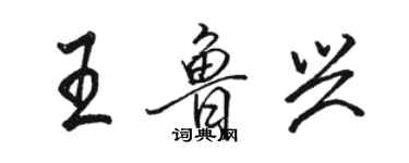 駱恆光王魯興行書個性簽名怎么寫