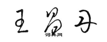 駱恆光王昌丹草書個性簽名怎么寫