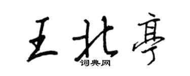 王正良王北亭行書個性簽名怎么寫