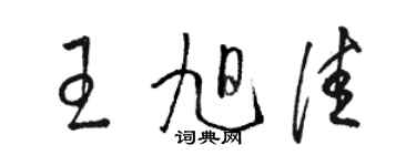 駱恆光王旭佳草書個性簽名怎么寫