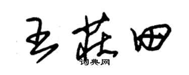 朱錫榮王莊田草書個性簽名怎么寫