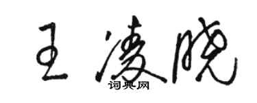 駱恆光王凌曉草書個性簽名怎么寫