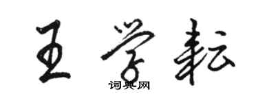 駱恆光王學耘行書個性簽名怎么寫