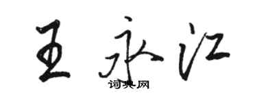 駱恆光王永江行書個性簽名怎么寫