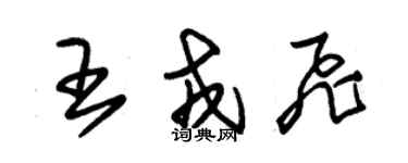 朱錫榮王戎飛草書個性簽名怎么寫