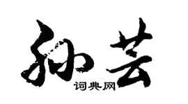 胡問遂孫芸行書個性簽名怎么寫