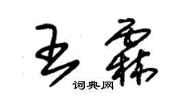 朱錫榮王霖草書個性簽名怎么寫