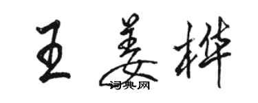 駱恆光王姜樺行書個性簽名怎么寫